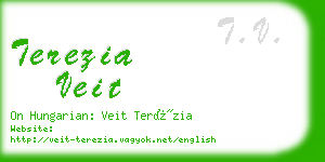 terezia veit business card